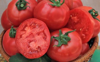 Самые вкусные маринованные помидоры: быстрый рецепт, который понравится любой хозяйке
